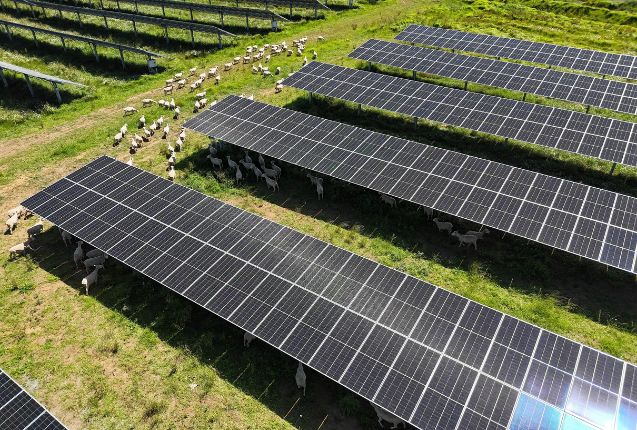 Inghams NZ operations to be powered by 100% renewable electricity